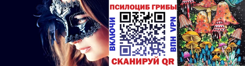 MEGA зеркало  Каменка  Галлюциногенные грибы ЛСД  закладки 